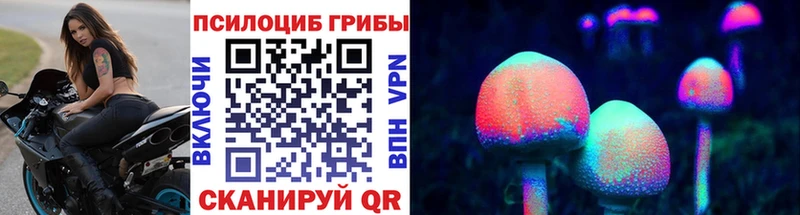 Псилоцибиновые грибы мицелий  Покровск 